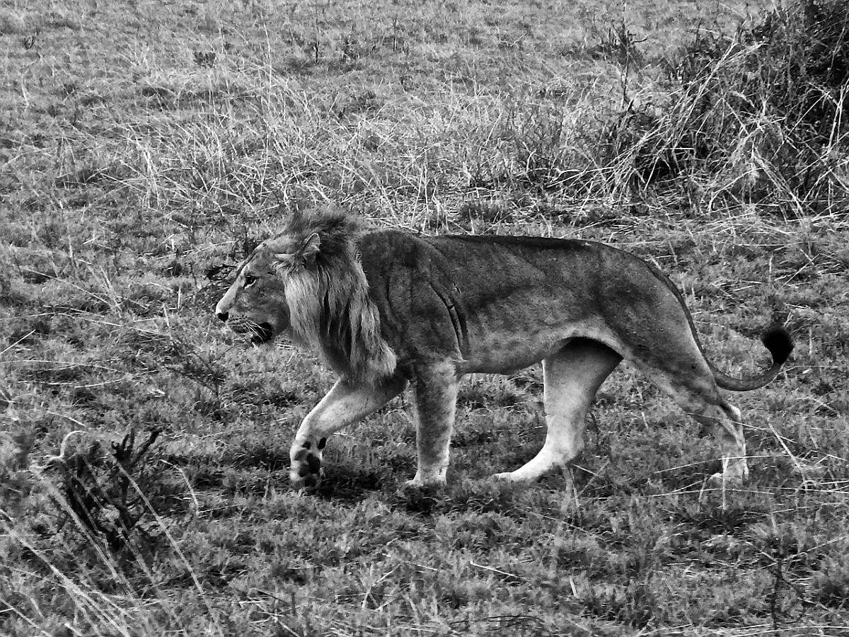 BW_2013-12 UGANDA_0974_s