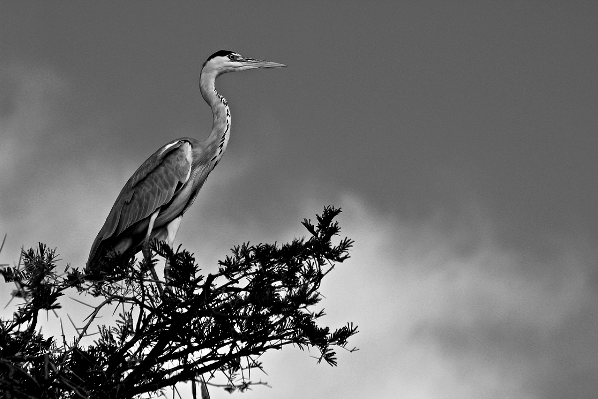 BW_2013-12 UGANDA_1459_c (1)