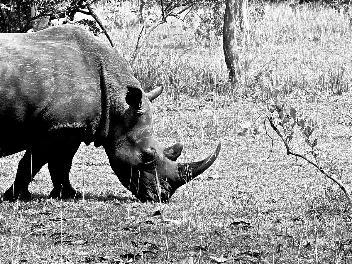 BW_2013-12 UGANDA_2655_c