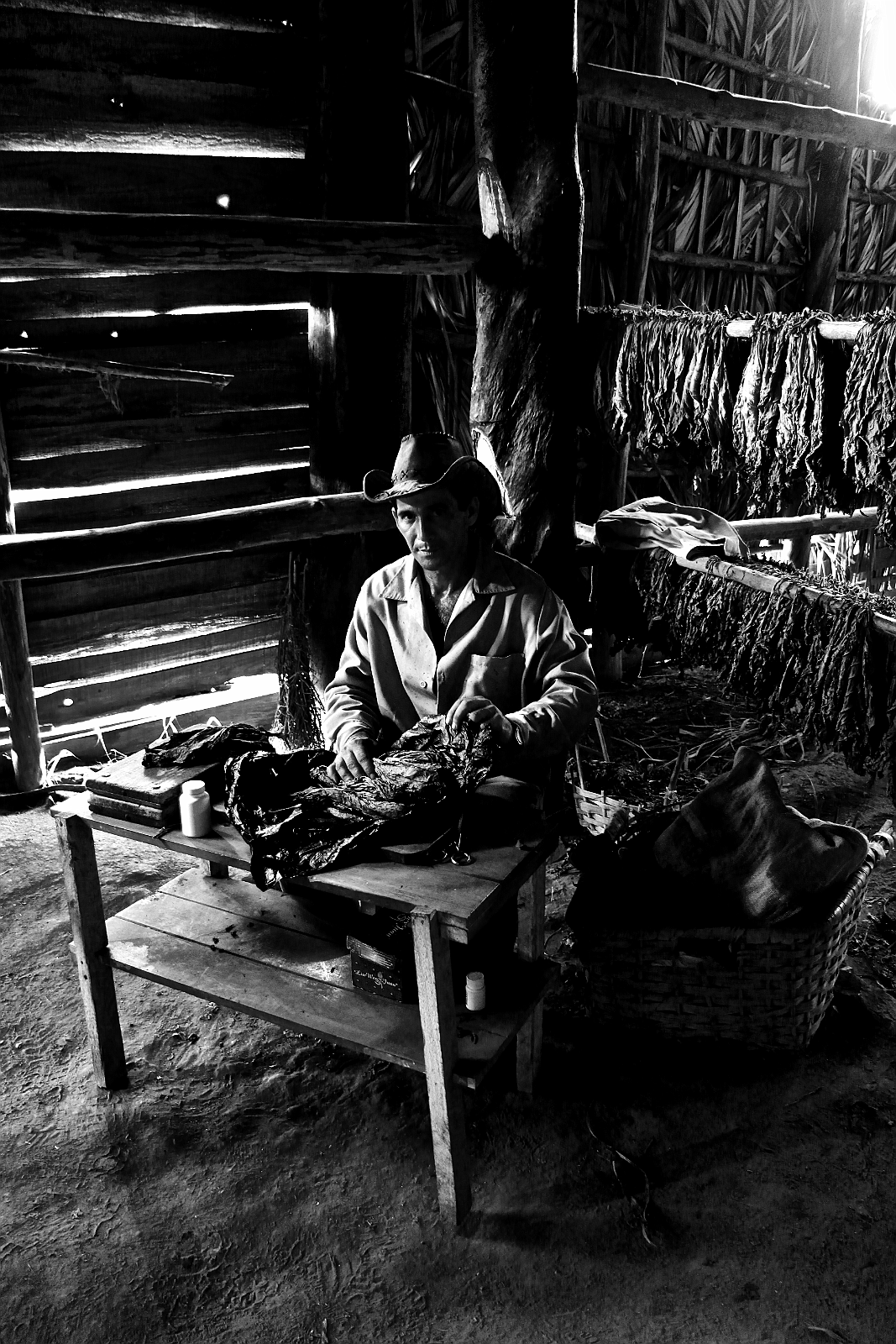 Cuba_(2016)_0211_[VINALES