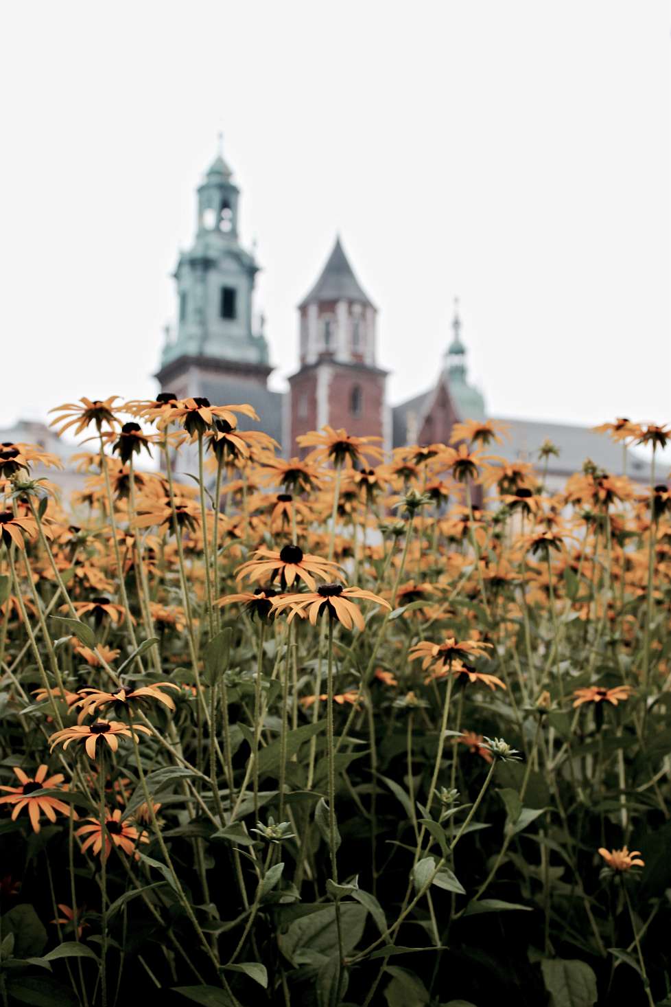 2015-08_CRACOVIA_0129