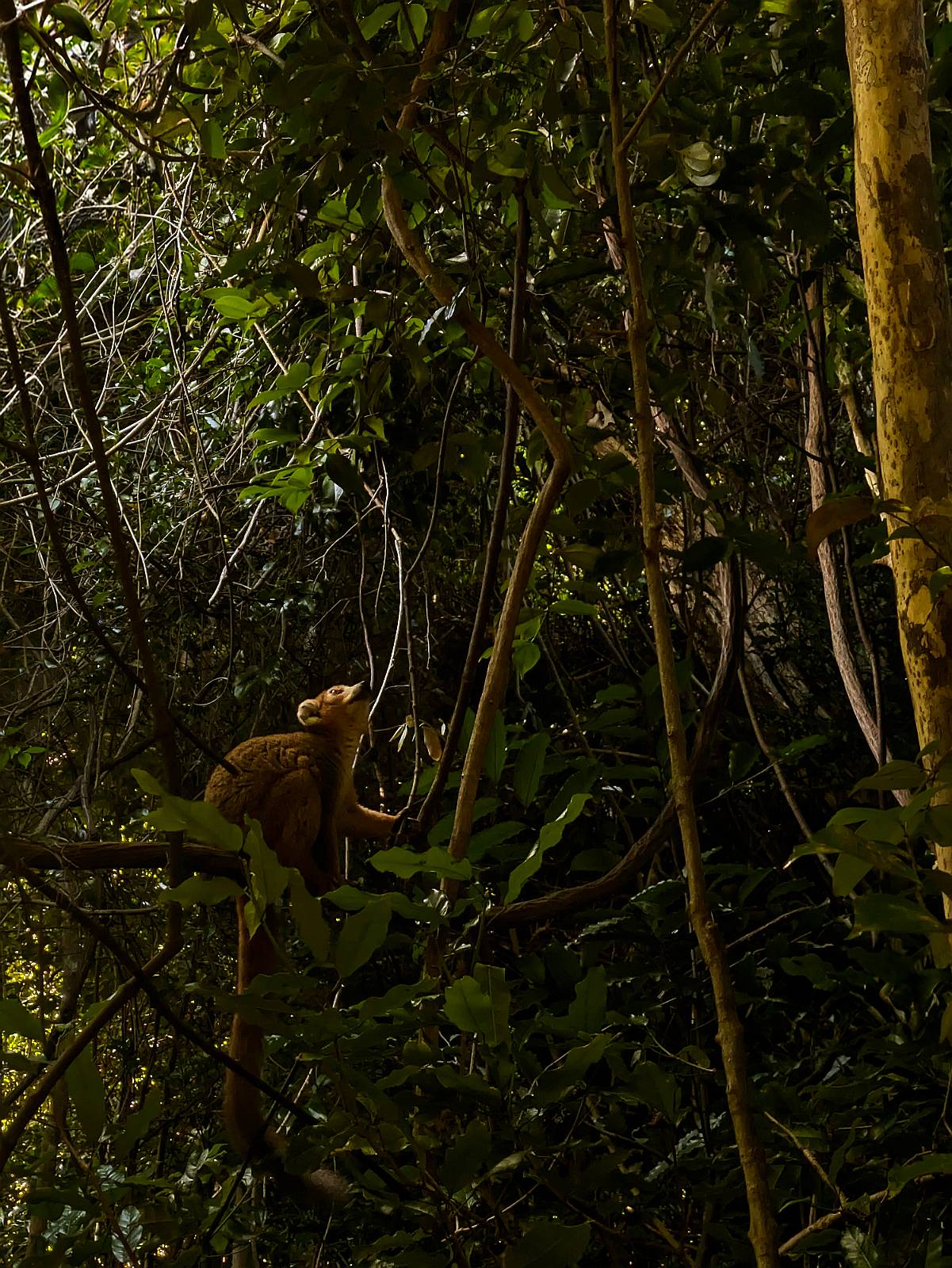 202605-MADAGASCAR_20260507_094245912-2___S