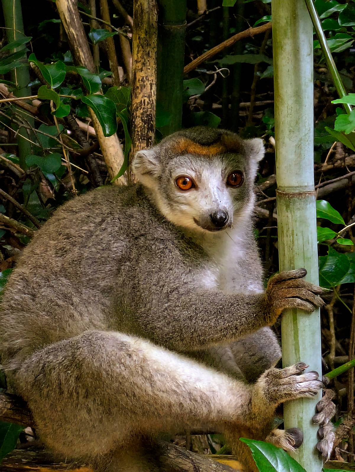 202605-MADAGASCAR_20260507_101653165-2___S