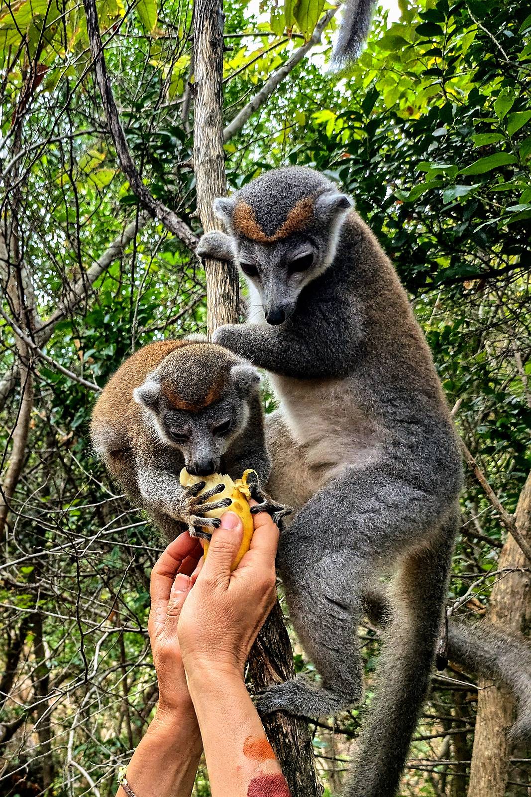 202605-MADAGASCAR_20260513_094849828-3___C