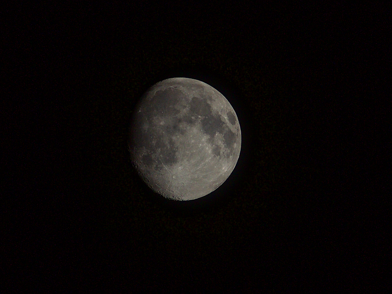 Luna_20200405_008