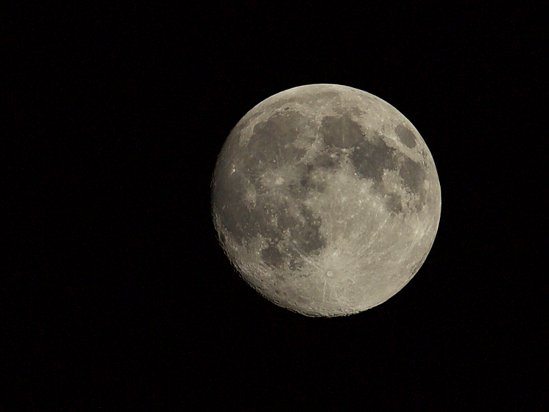 Luna_20200406_008