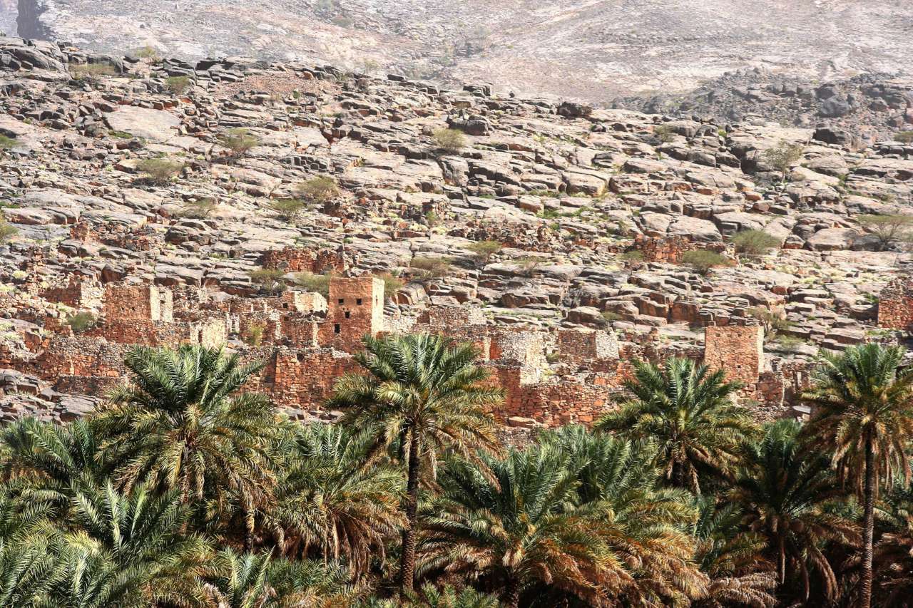 2010-03_Oman_1098_c