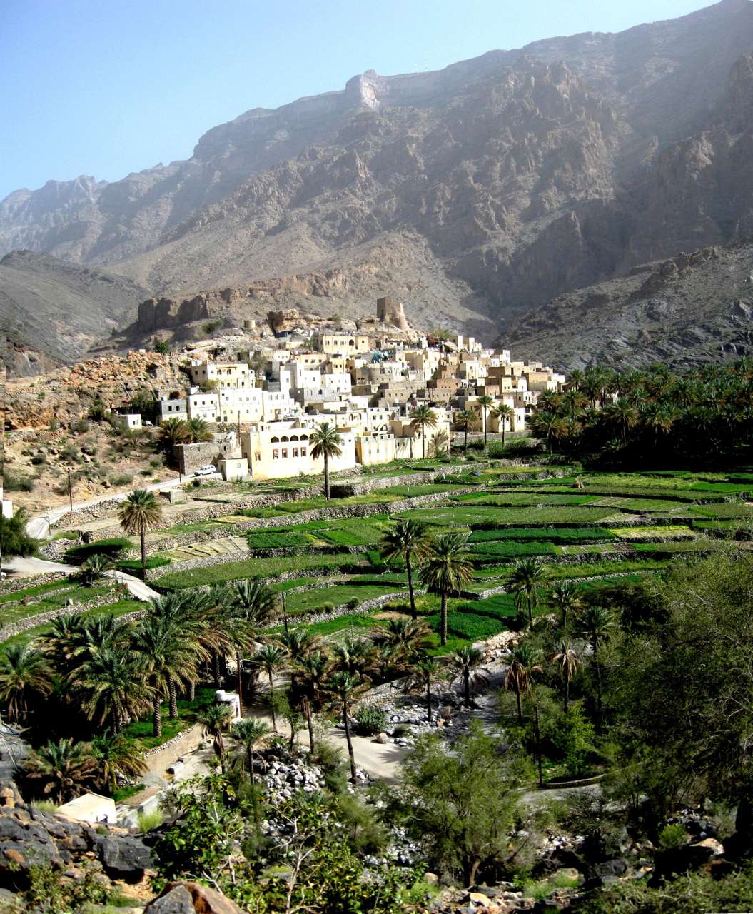 2010-03_Oman_1153g_PANORAMA