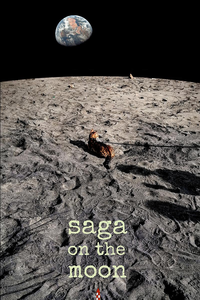 Saga - On the moon (meme)