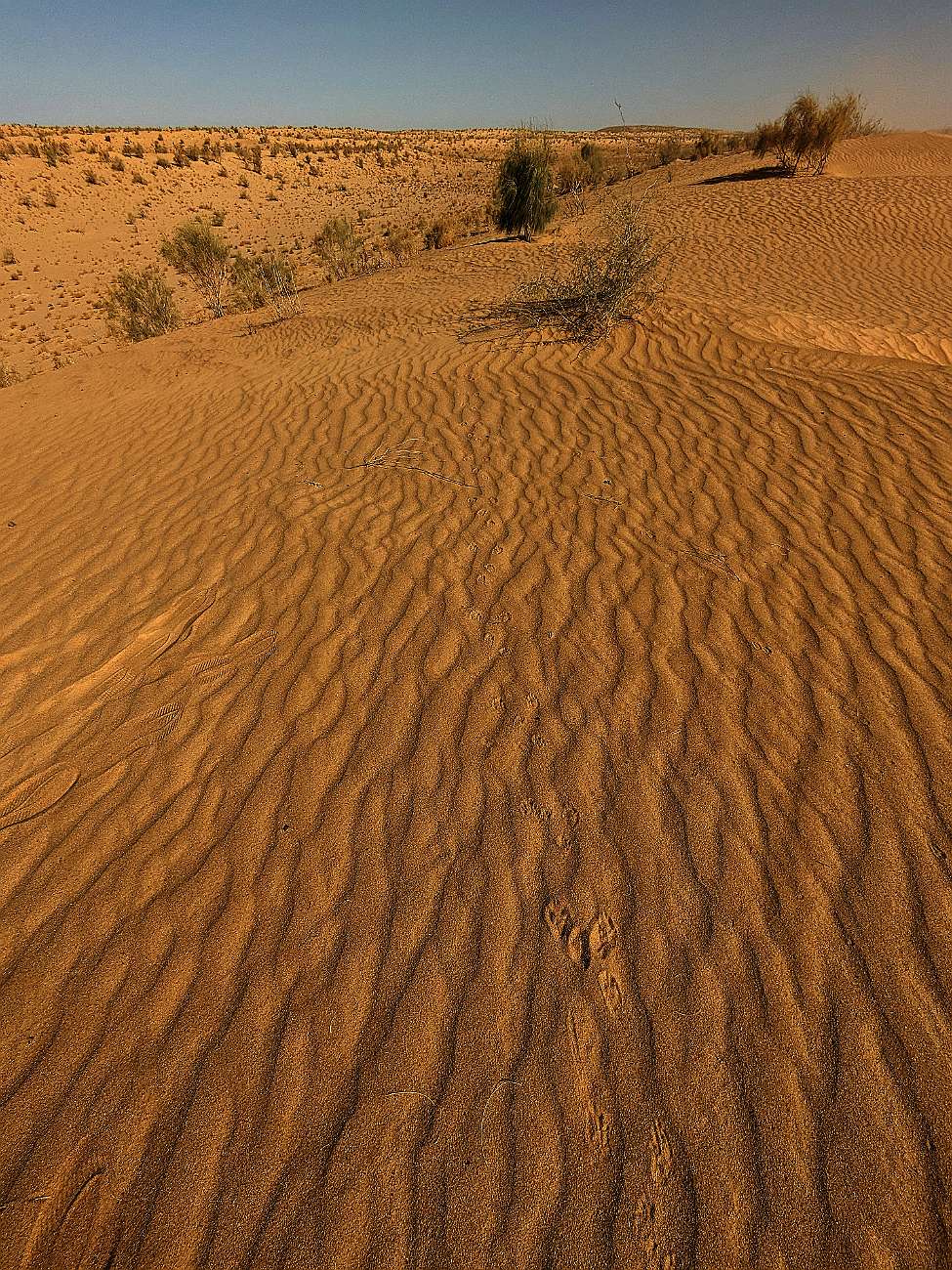 The Gates of Hell (Darwaza, Turkmenistan) - through the desert
