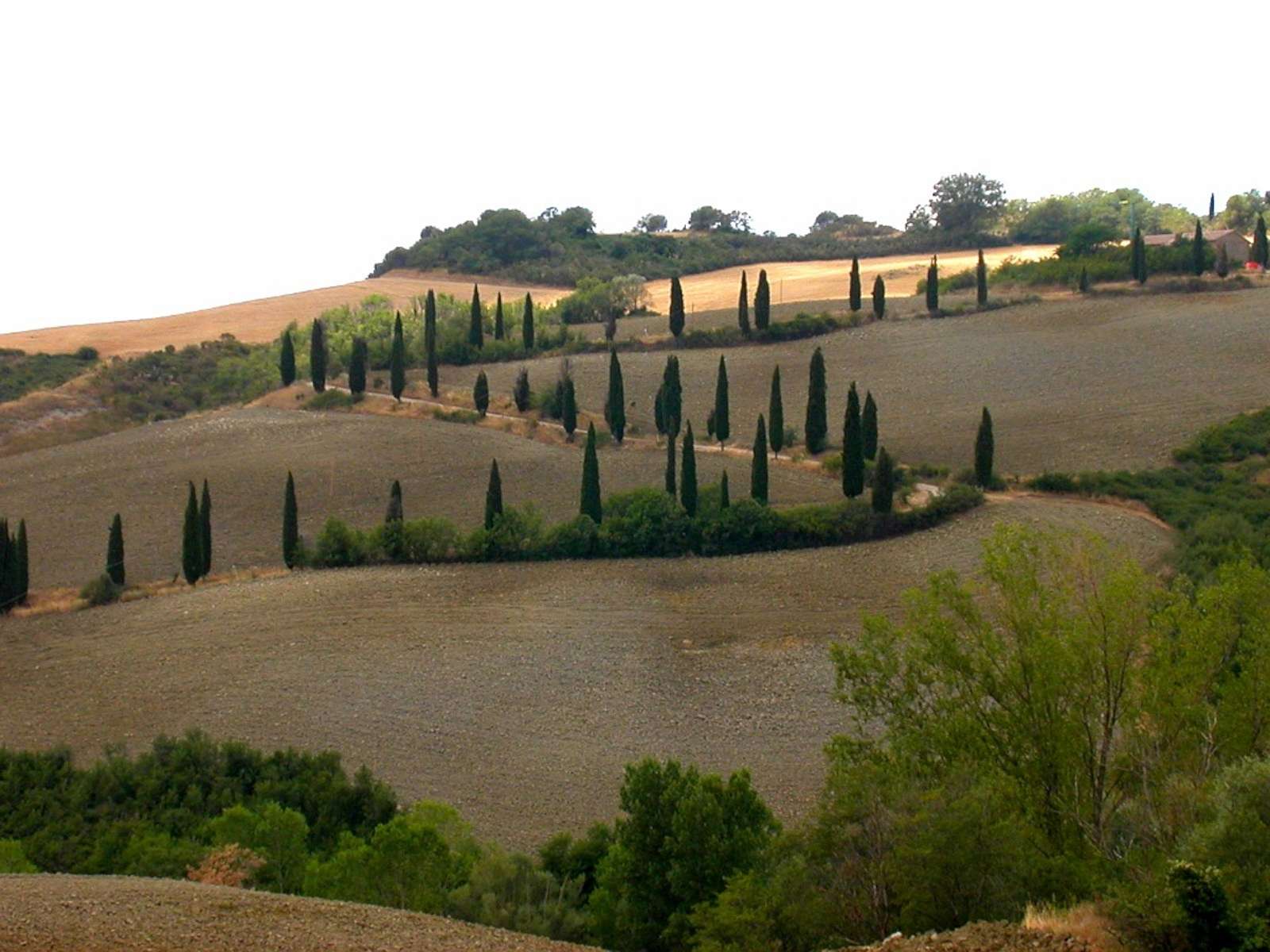 Tuscany_Val_di_Chiana__-_La_Foce_0001