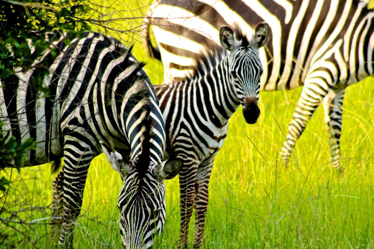 2013-12_UGANDA_0470_c