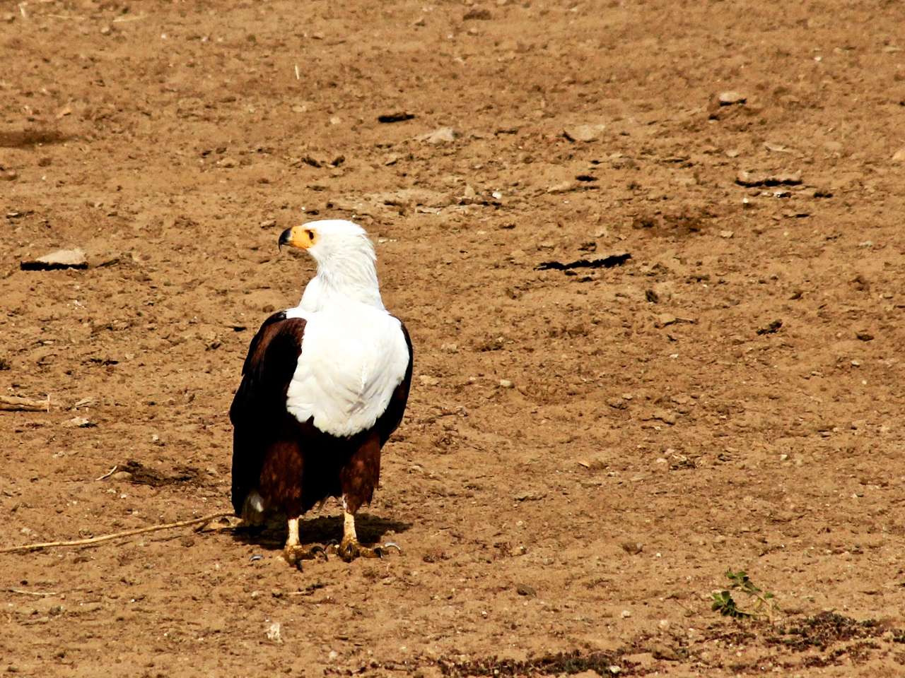 2013-12_UGANDA_1340_c