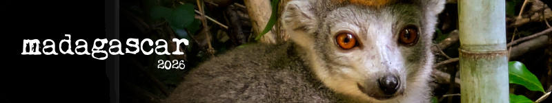 madagascar